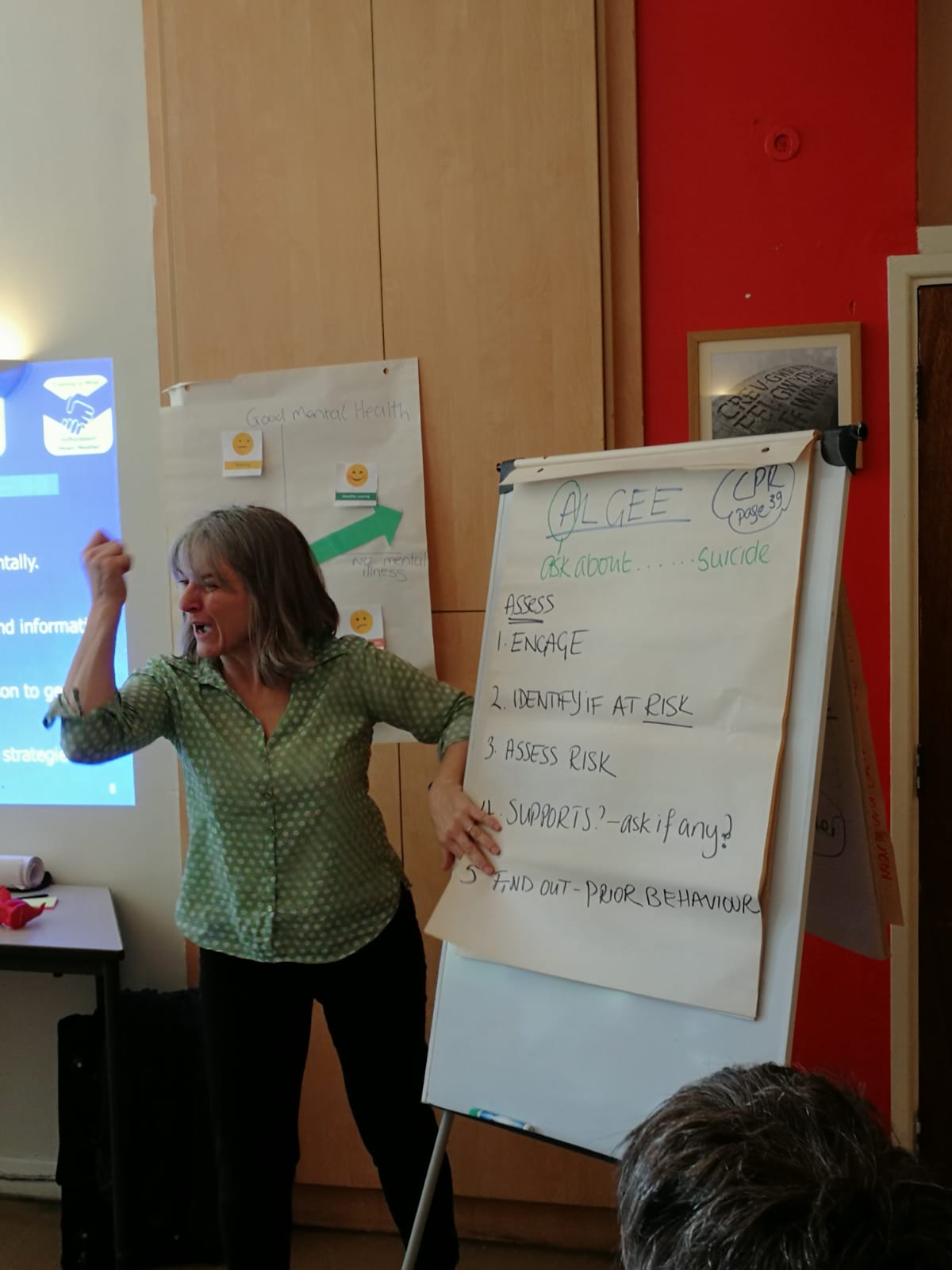 Mental Health Project in Wales